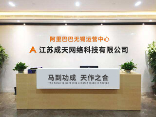 无锡阿里巴巴运营 网络技术服务的创新与实践